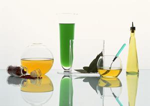 ガチャガチャの森:多彩なコレクションと遊び心あふれる店舗体験